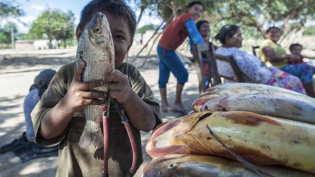 argentina-s-indigenous-people-fight-for-land-rights-alianza-wichi