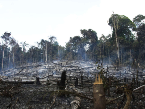 braz-awa-fw-2010-78_article_column@2x