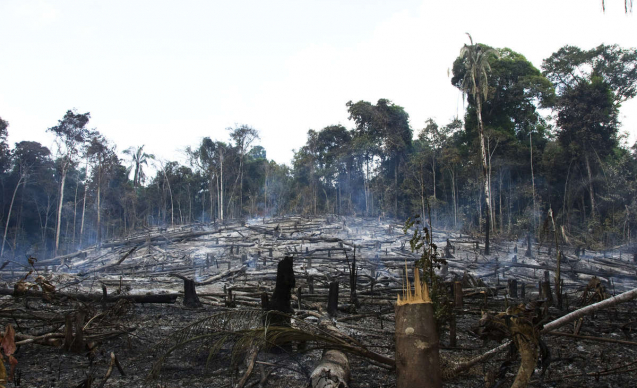 braz-awa-fw-2010-78_article_column@2x