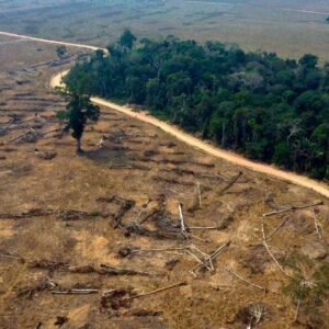 Amazon-Deforestation