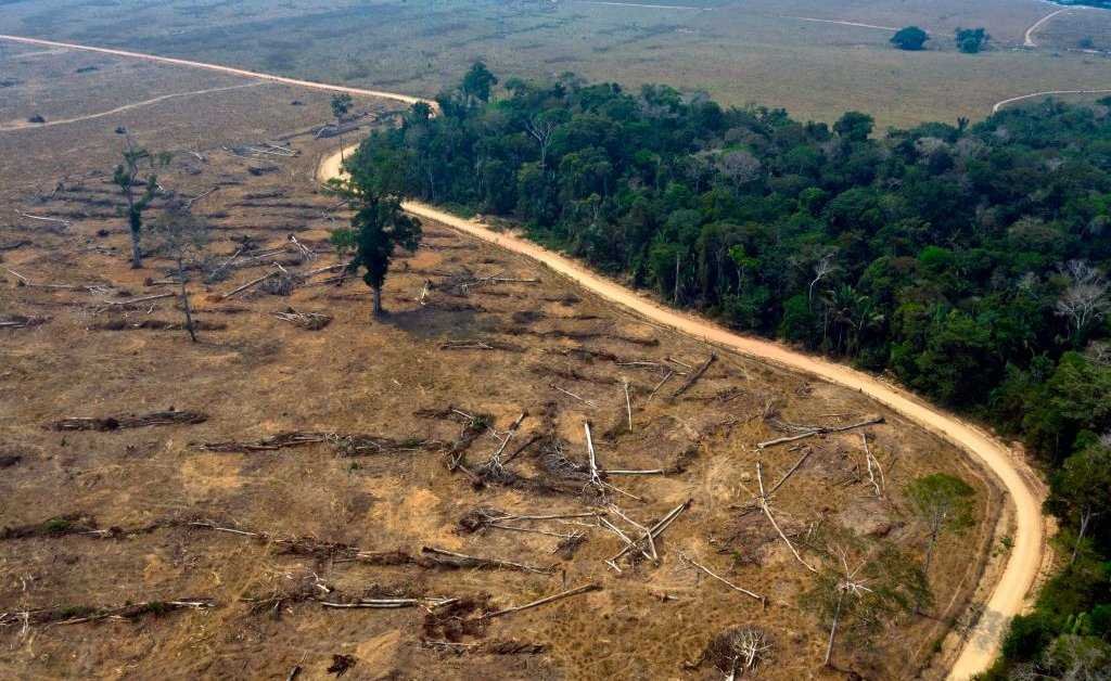 Amazon-Deforestation