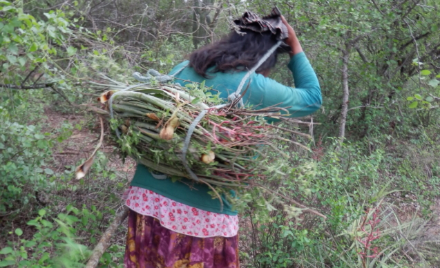 Maria Eugenia Suarez66