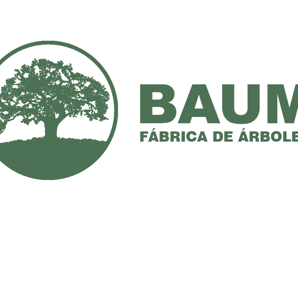 BAUM logo