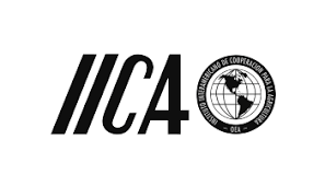 ICAA LOGO BN