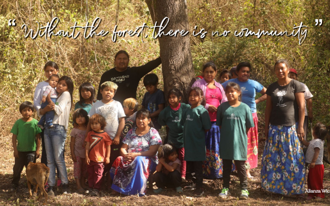 Cultural and Natural Sanctuaries: Why Alianza Wichi is Planting Hope in the Gran Chaco