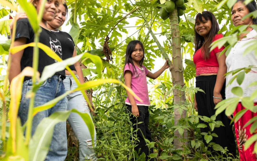The Domino Effect of Regeneration: Indigenous Agroforestry and the Rebirth of the Gran Chaco
